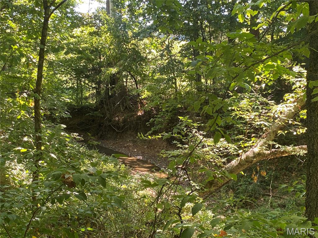 0 Highway C Property Photo 3
