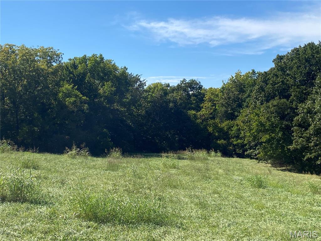0 Highway C Property Photo 4