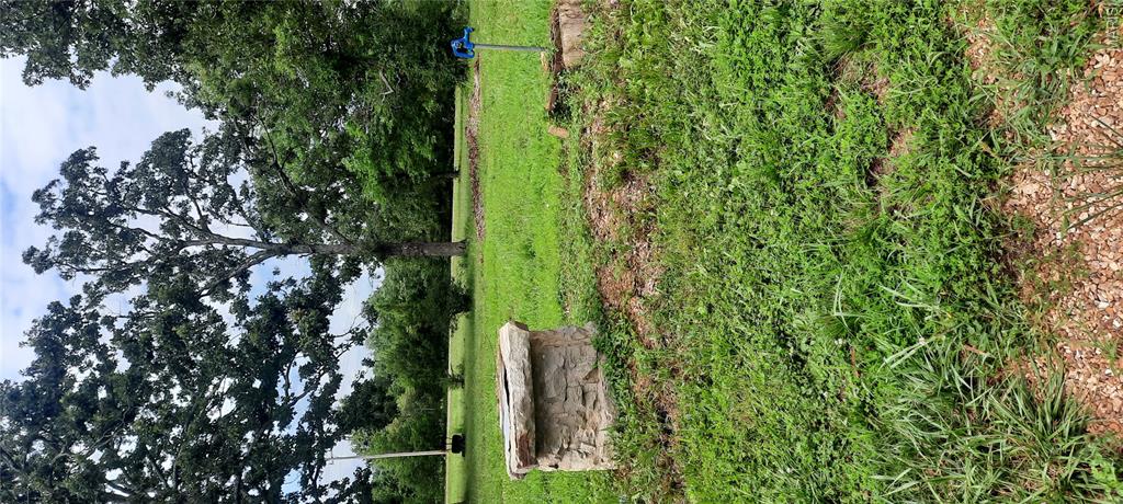 20890 19 Highway Property Photo 28