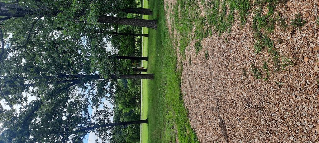 20890 19 Highway Property Photo 29