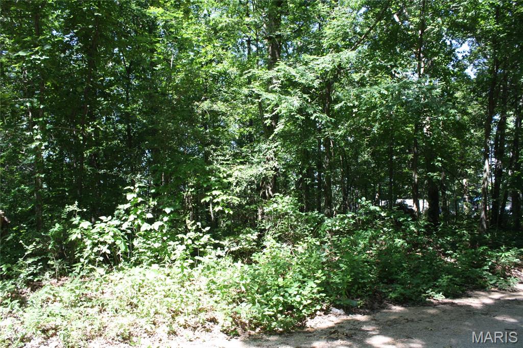 00 Lakview Drive