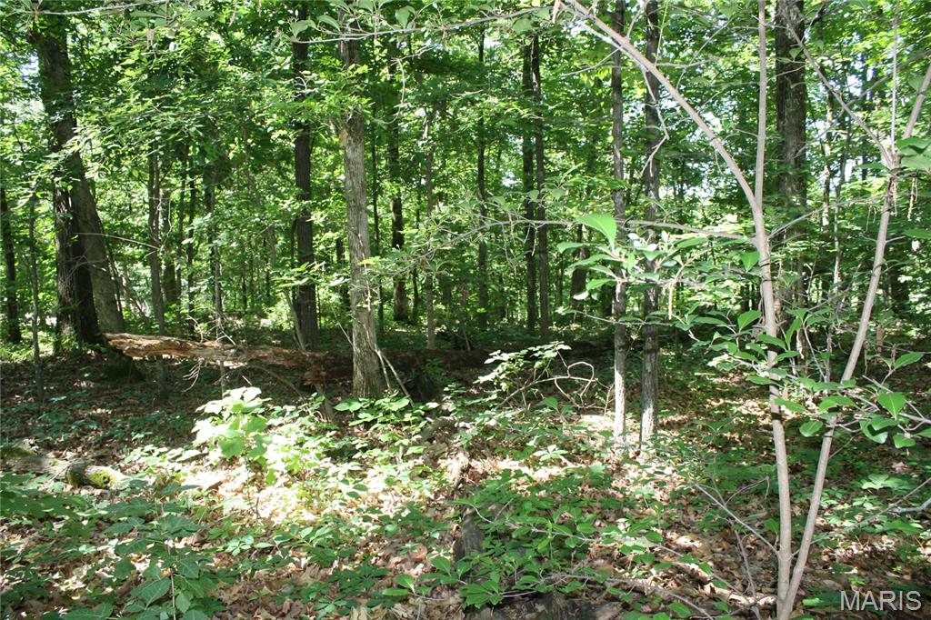 00 Lakview Drive Property Photo 2