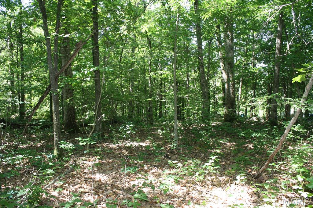 00 Lakview Drive Property Photo 3