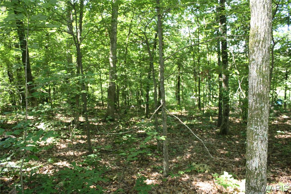 00 Lakview Drive Property Photo 4