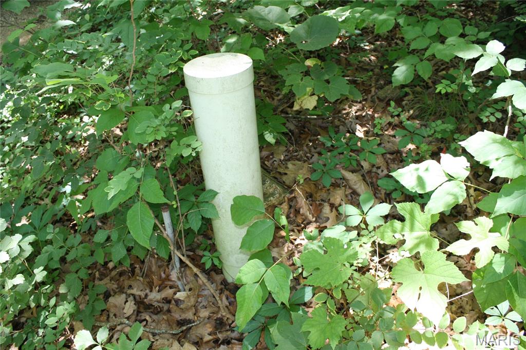 00 Lakview Drive Property Photo 5