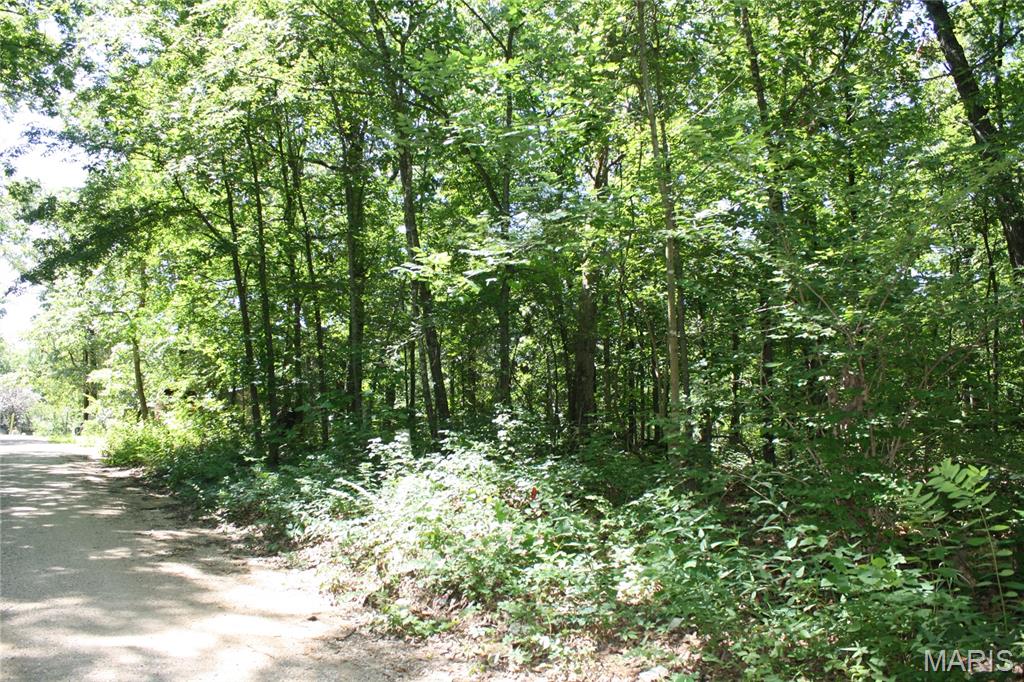 00 Lakview Drive Property Photo 6
