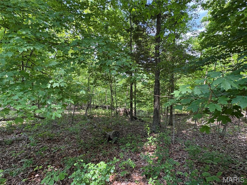 5046 Port Perry Drive Property Photo 1
