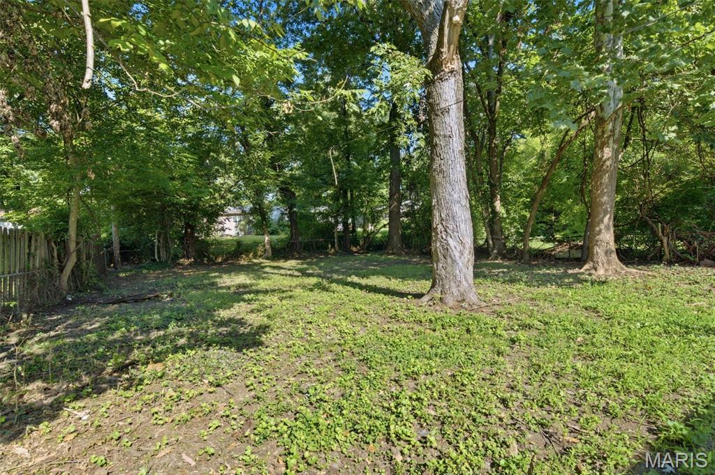 10537 Earl Drive Property Photo 26