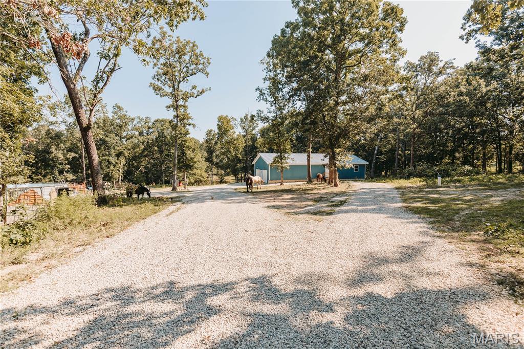 21503 Highway 28 Property Photo 3