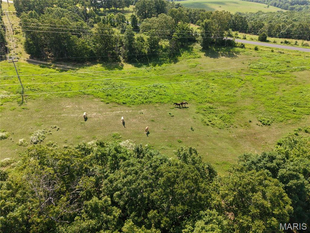 21503 Highway 28 Property Photo 56