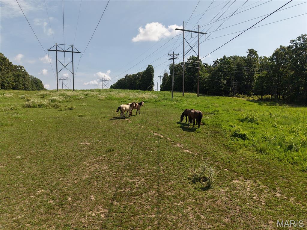 21503 Highway 28 Property Photo 63