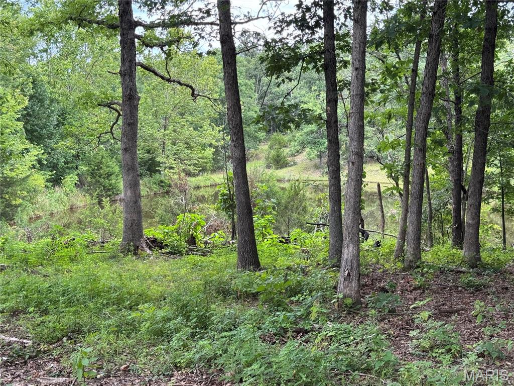 21503 Highway 28 Property Photo 65