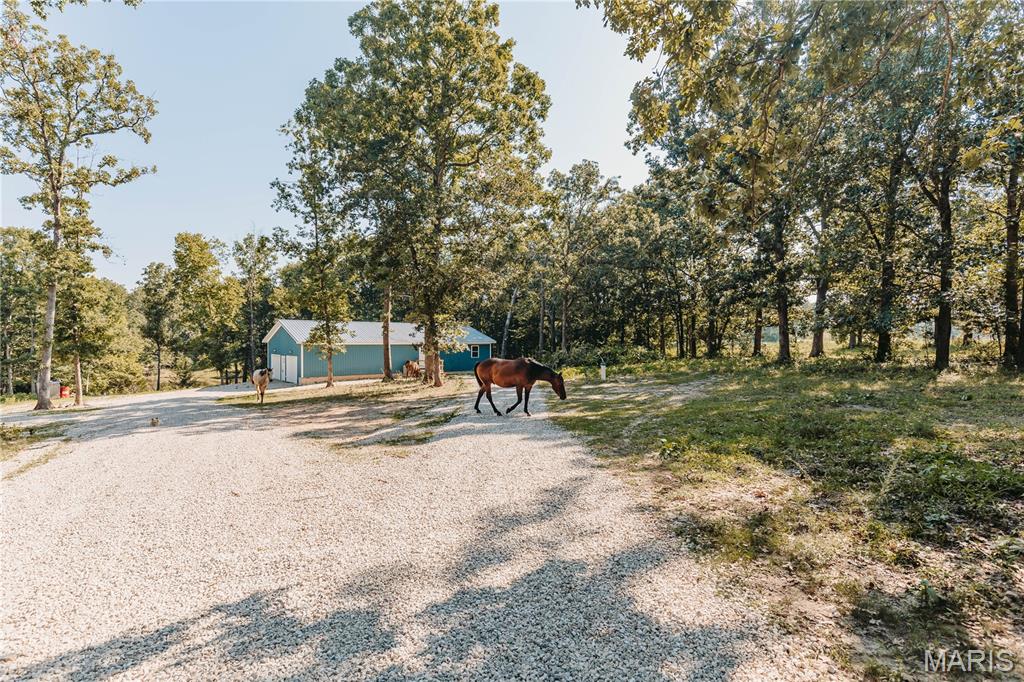 21503 Highway 28 Property Photo 77