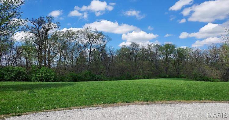 751 Lienzengen Lane Property Photo 2