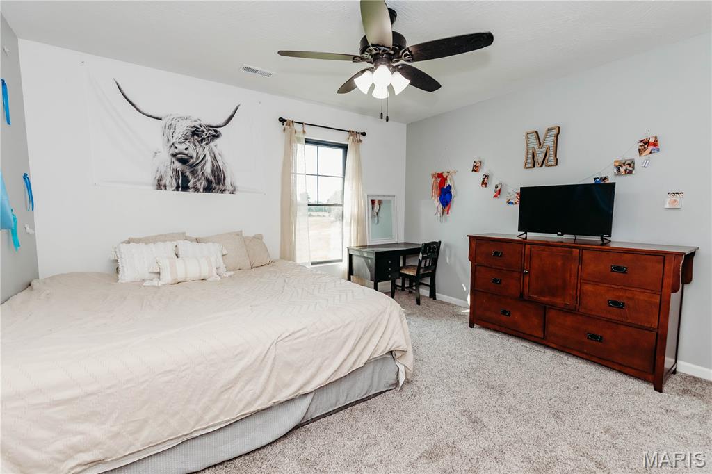 14946 Colorado Road Property Photo 47