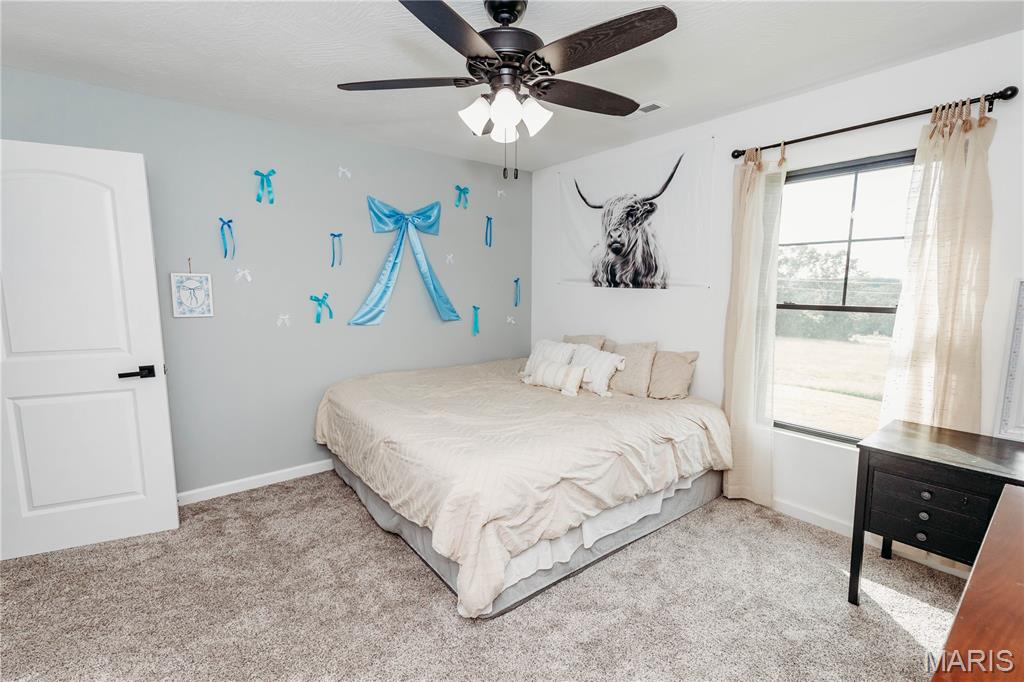 14946 Colorado Road Property Photo 48