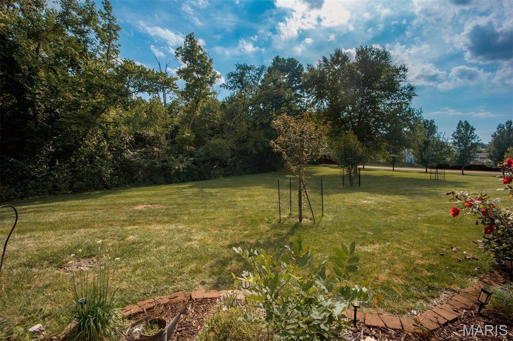 1429 Tahoe Valley Court Property Photo 29