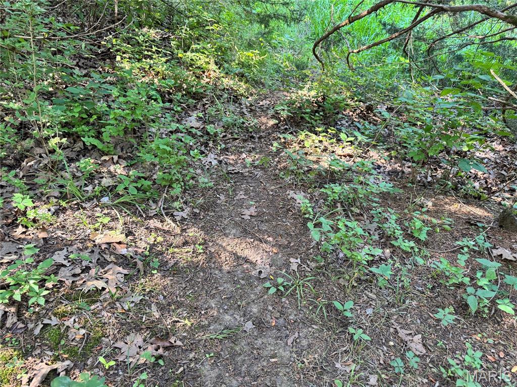 355 County Road Property Photo 39