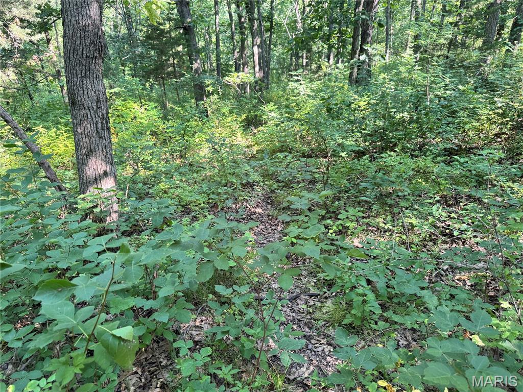 355 County Road Property Photo 40