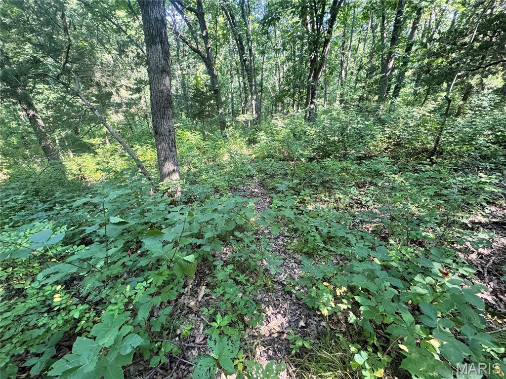 355 County Road Property Photo 41