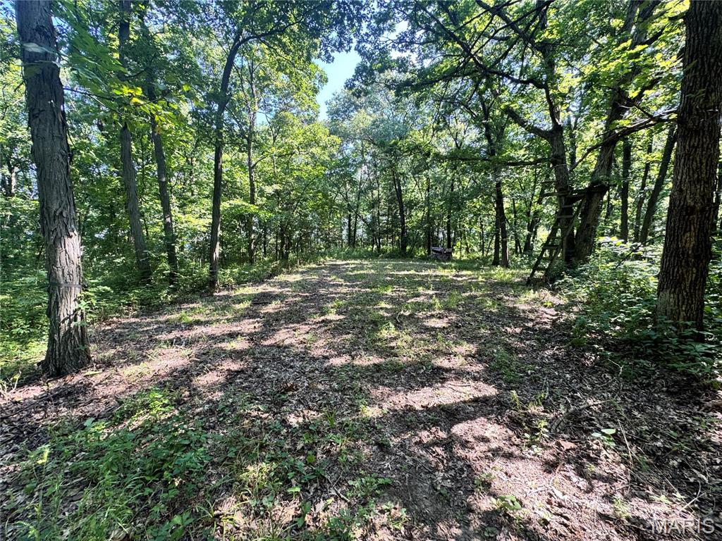 355 County Road Property Photo 53