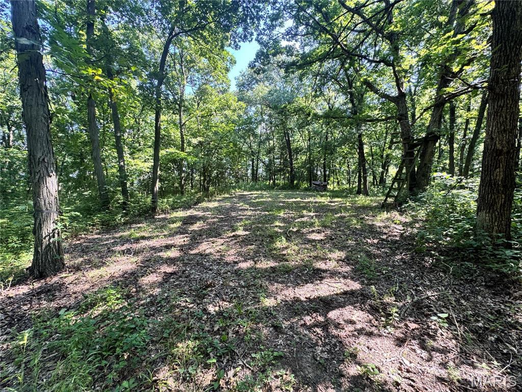 355 County Road Property Photo 54