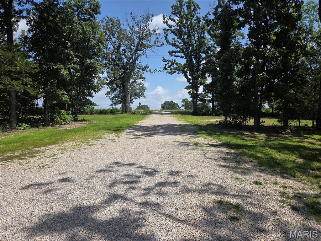 4200 Highway 19 Property Photo 50