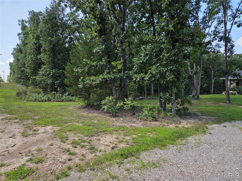 4200 Highway 19 Property Photo 53