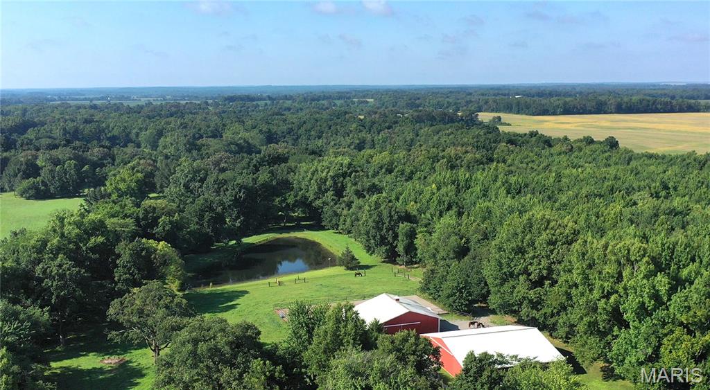 23036 Carlyle Road Property Photo 3