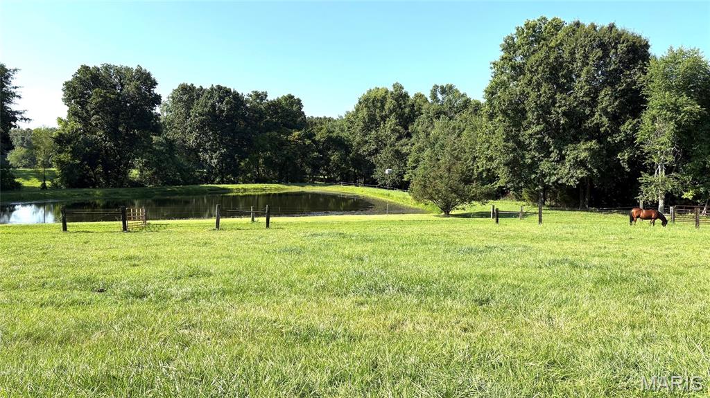 23036 Carlyle Road Property Photo 43