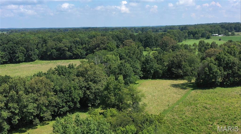 23036 Carlyle Road Property Photo 60