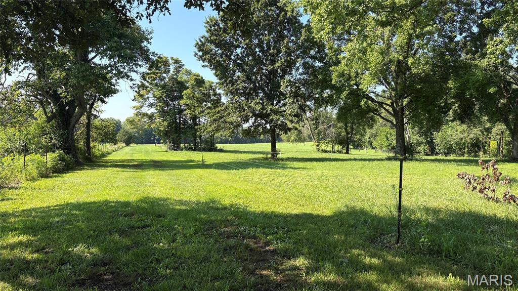 23036 Carlyle Road Property Photo 62