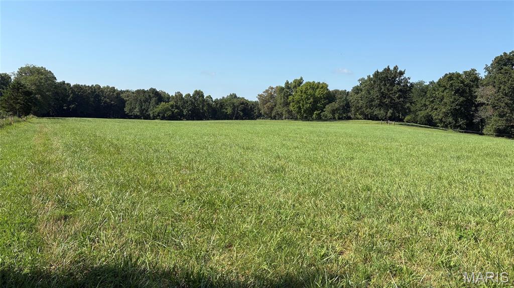 23036 Carlyle Road Property Photo 63