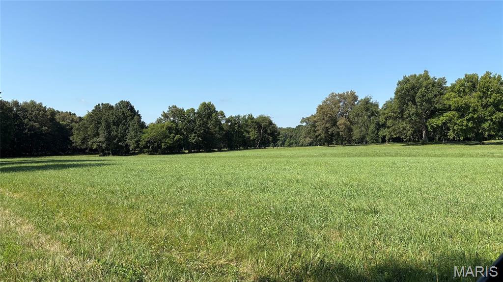 23036 Carlyle Road Property Photo 65