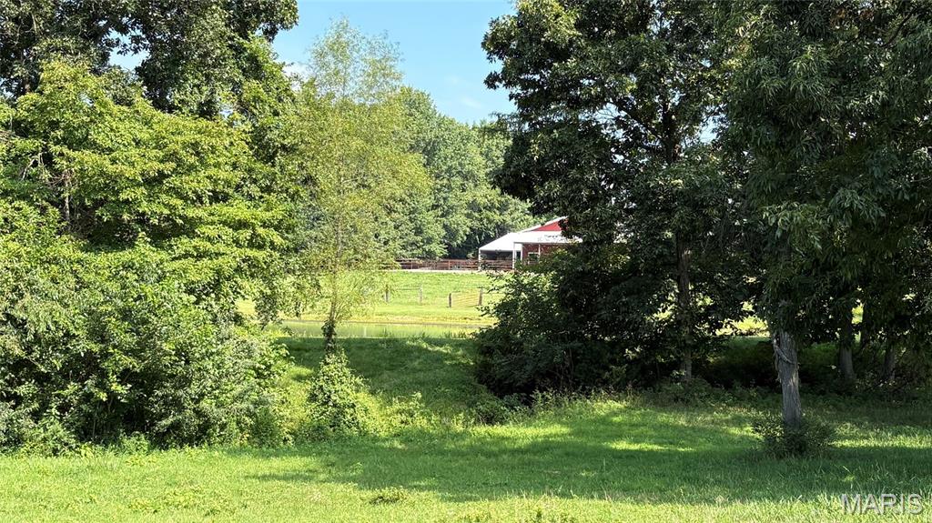 23036 Carlyle Road Property Photo 67
