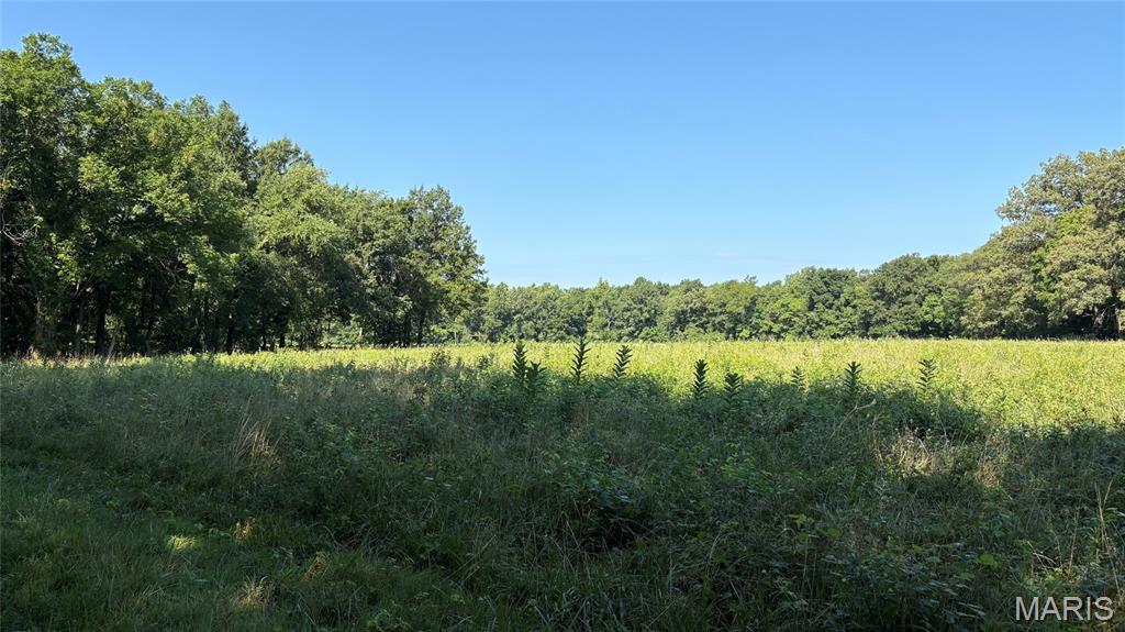 23036 Carlyle Road Property Photo 69