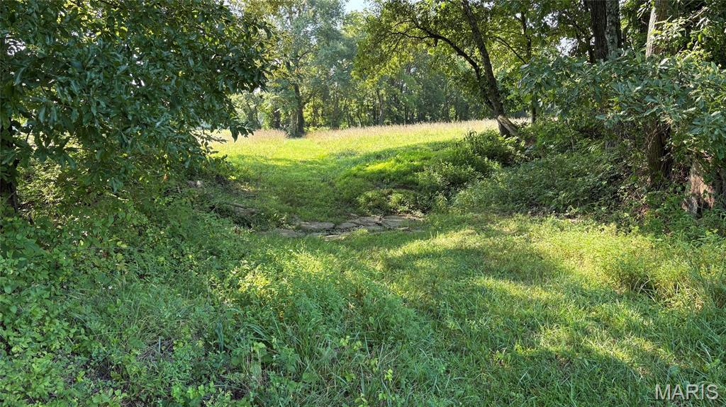23036 Carlyle Road Property Photo 70