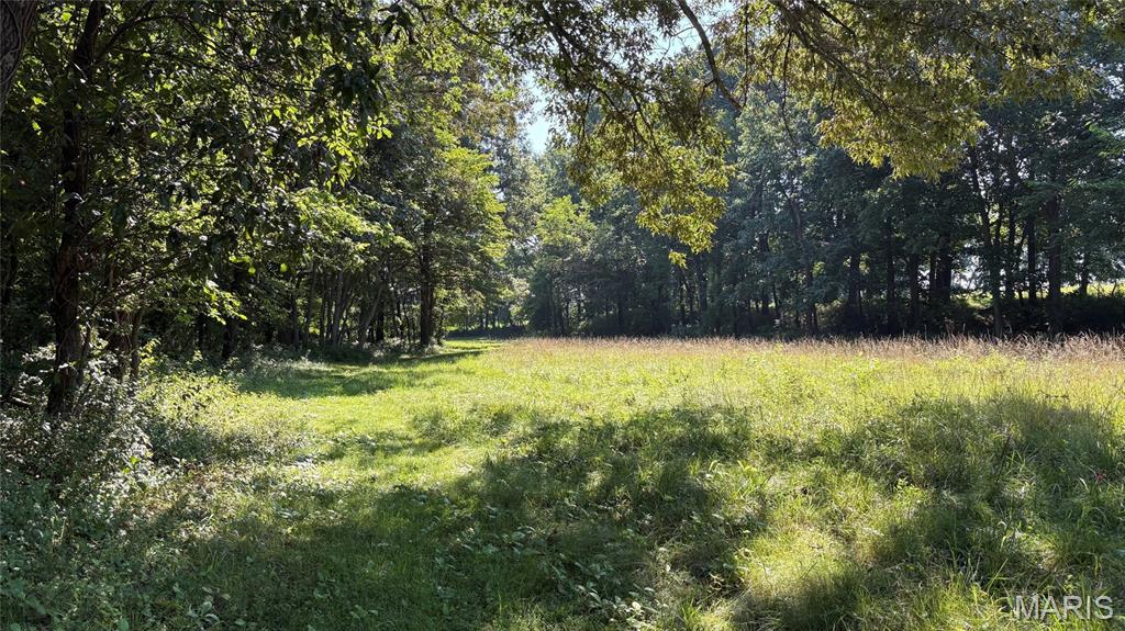 23036 Carlyle Road Property Photo 71