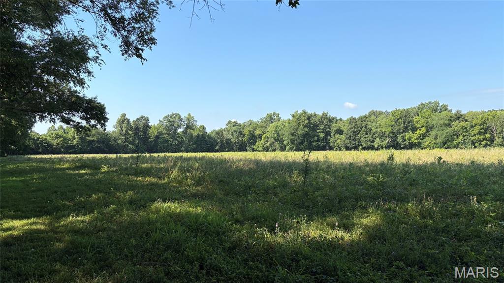 23036 Carlyle Road Property Photo 72
