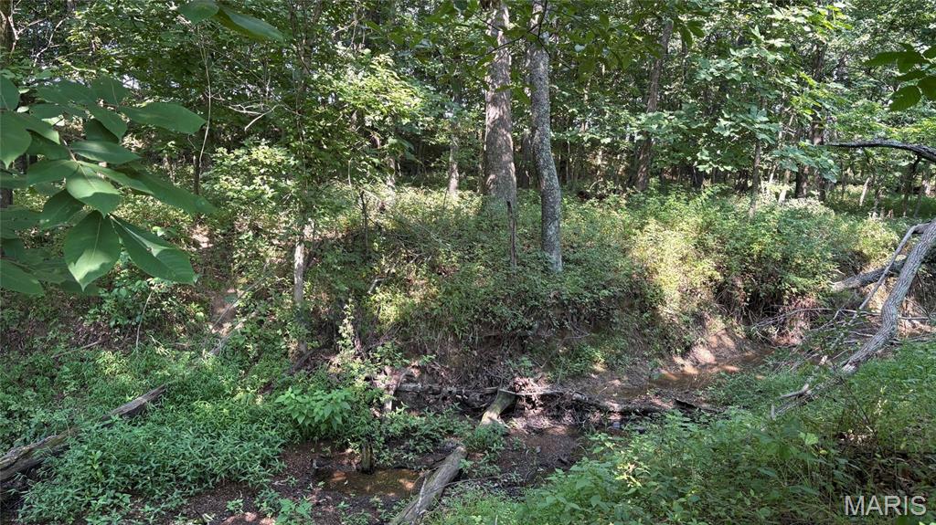 23036 Carlyle Road Property Photo 73