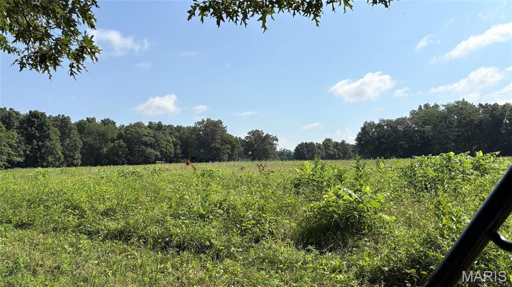 23036 Carlyle Road Property Photo 74
