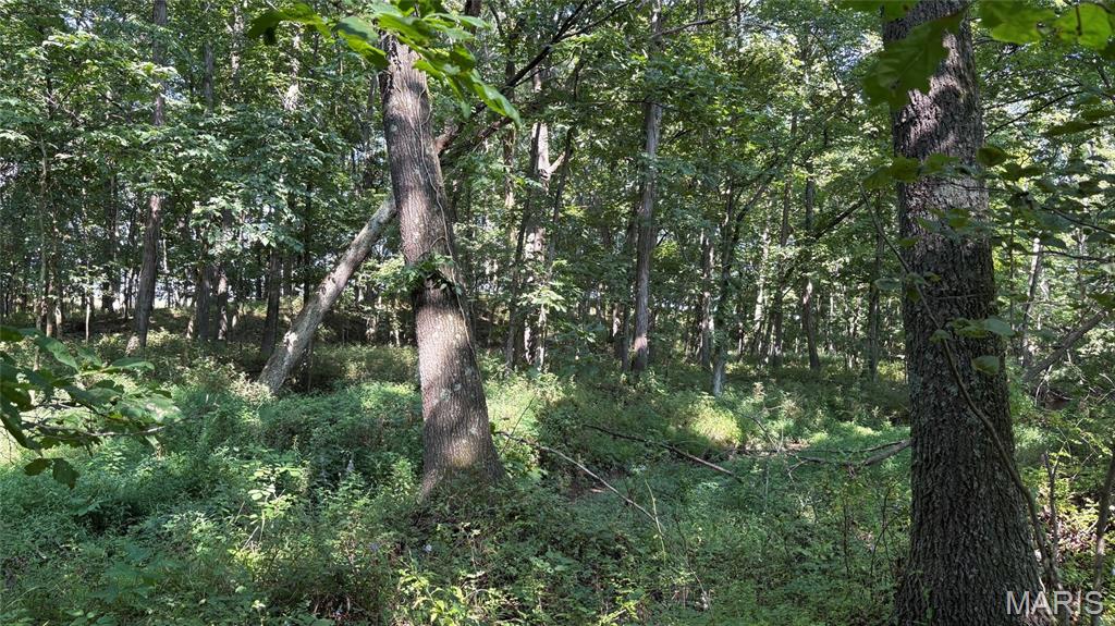 23036 Carlyle Road Property Photo 75