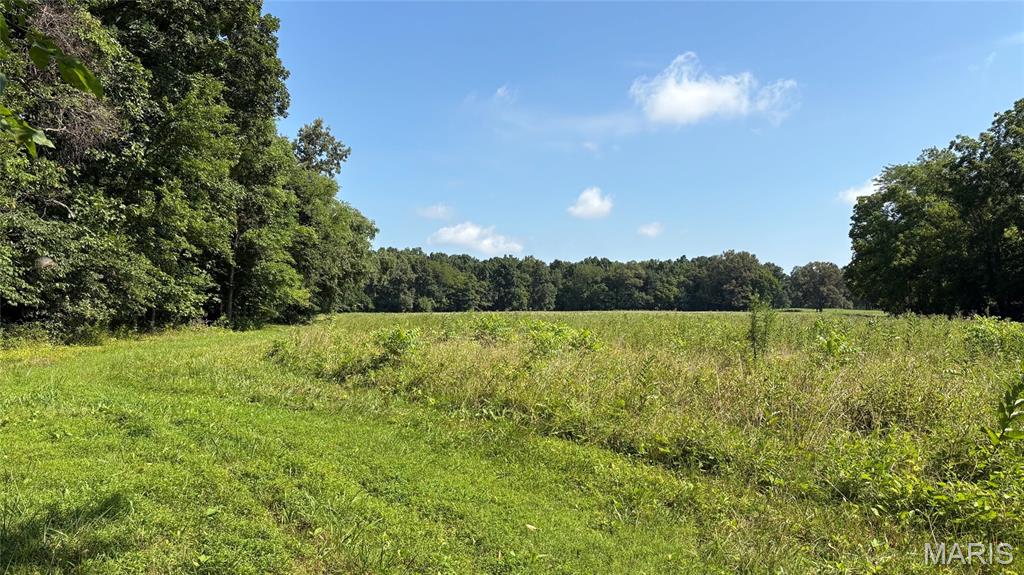 23036 Carlyle Road Property Photo 76