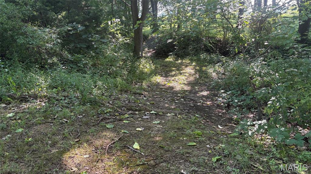 23036 Carlyle Road Property Photo 78