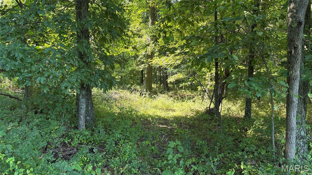 23036 Carlyle Road Property Photo 79
