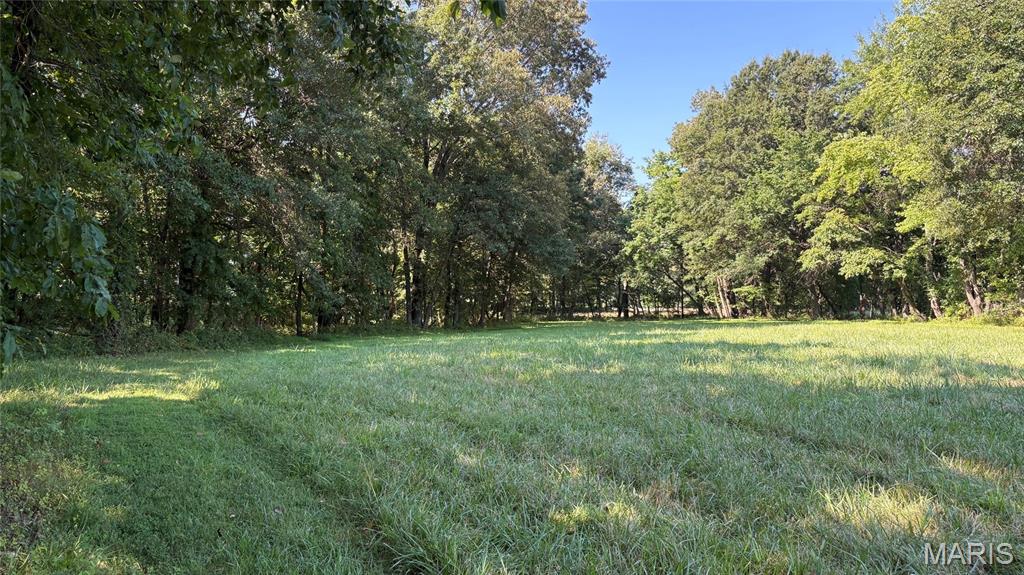23036 Carlyle Road Property Photo 81