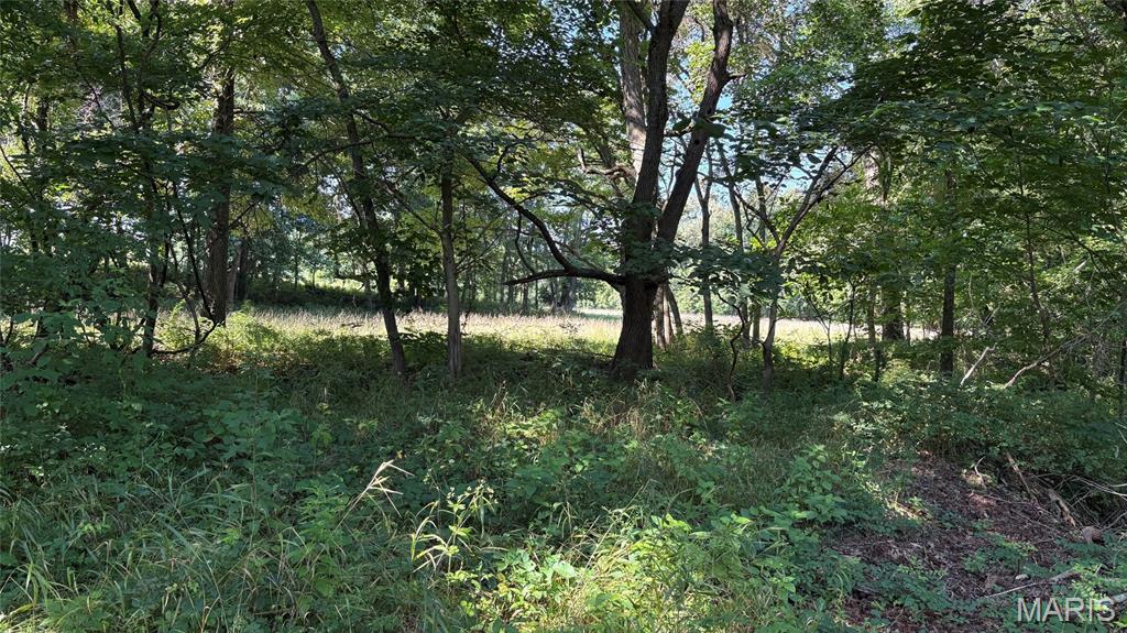 23036 Carlyle Road Property Photo 82