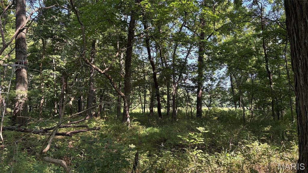 23036 Carlyle Road Property Photo 83