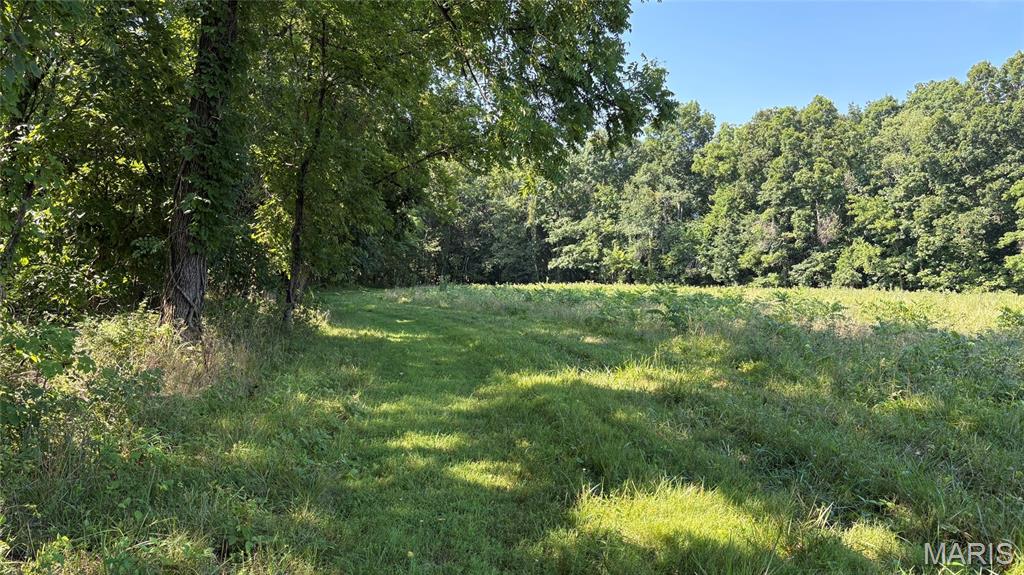 23036 Carlyle Road Property Photo 85