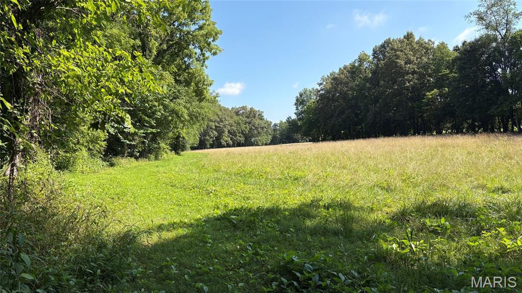 23036 Carlyle Road Property Photo 86